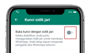 geser tombol menjadi hijau - cara mengetahui WA disadap
