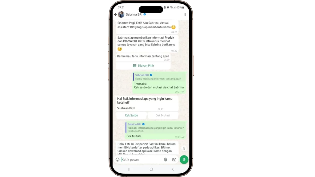 Sabrina - BRI Contoh Bank Indonesia yang Menggunakan Chatbot_ BRI